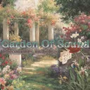 Garden of Sound | Blossoming Melodies!