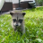 Lil Racoon