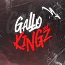 👑 ＧＡＬＬＯＫＩＮＧＺ 👑