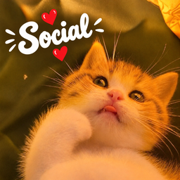 Discovery icon for Social 🌷India | Indian Discord server • Make friends • hindi • vc • discord india • ask to dm Discord server
