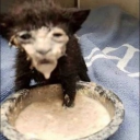 엄하하하하하 Discord server icon