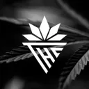THC. | The Hidden Clan