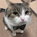 Sodium Sillycat Discord server icon