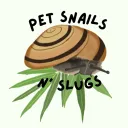 Pet Snails N’ Slugs