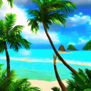 Tropical Trades