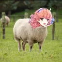 Purple Server