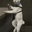 зависимые от скумы
