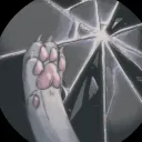 ₊˚ 🩵 Shattered Reality