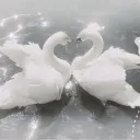 Angel Gathering
