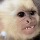 โตขึ้นอยากเป็นเศรษฐี Discord server icon