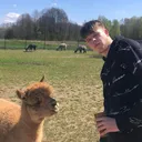 🦙🦙 Alpaki Hubiego 🦙🦙