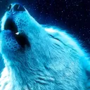 HELLOF WOLF