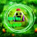 BraWLsiLEiros