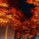 𝐒𝐭𝐞𝐥𝐥𝐚𝐫𝐢𝐚 𝐀𝐜𝐚𝐝𝐞𝐦𝐲™ Discord server icon