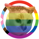 StreetCatWiki avatar