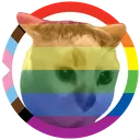 StreetCatWiki