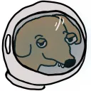$BORK