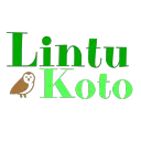 Lintukoto