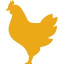 Chicken.GG Discord Server Icon