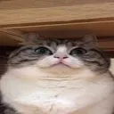 🌙ʏᴏʀᴜ