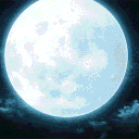 ƙᥒყ: 𝑑𝑒𝑎𝑑𝑙𝑦 𝑝𝑟𝑜𝑝𝘩𝑒𝑐𝑖𝑒𝑠