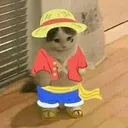 Twitch PirateKingMomo