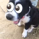 mudae: el sv