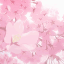 Nami's Dreamhouse