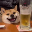 server profile pic