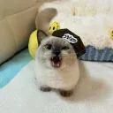Silly Billys