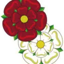 Roses Revived
