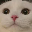 地下室