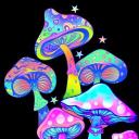Shroom Hall