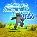 『 KOALA UNIVERSE 』 Discord Server Icon
