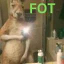 FOT