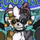 ⊹⪩⪨🪴GECKOS KIDS !!🪴⪩⪨⊹