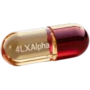 L'asile [4LXAlpha]