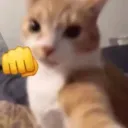 dttwt