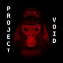 Project Void