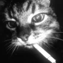 ali we also7ba ♥ Discord server icon