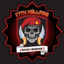17th Hellfire Shock Brigade