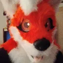 Kuper's Fox den :3