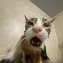 La Cueva del Gil  Icon