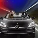 La Cueva del Gil  Discord Server Icon