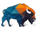 Bison Network