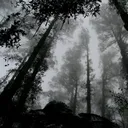 The Hollows