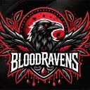 BloodRavens Discord server icon