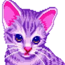 VIOLETOR NATION