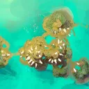 Camp Leìfa