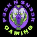 P33KnSN33K  Gaming Discord Server Icon